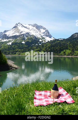 Pic-nic nel prato alpino. Svizzera Foto Stock