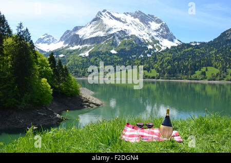 Pic-nic nel prato alpino. Svizzera Foto Stock