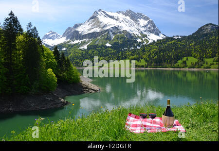 Il vino e le verdure servita presso un pic-nic nel prato alpino. Svizzera Foto Stock