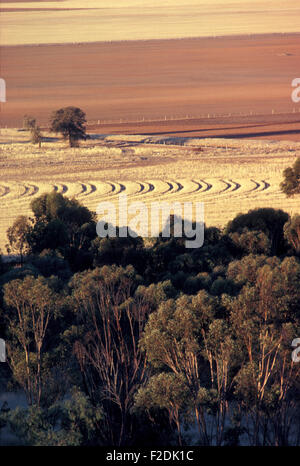 Campi arati lungo il fiume Swan Road in Victoria, Australia. Foto Stock