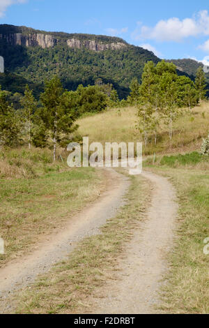 Nella valle Numimbah Foto Stock