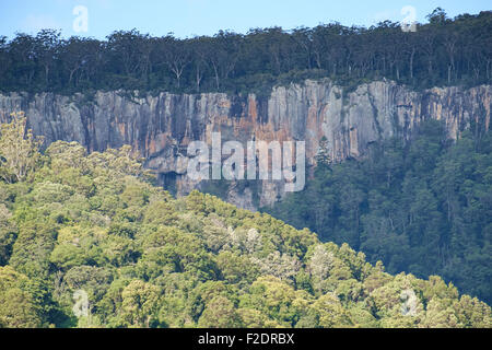 Nella valle Numimbah Foto Stock