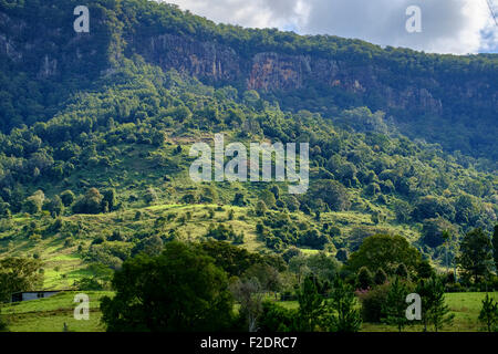 Nella valle Numimbah Foto Stock