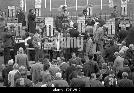 Leopardstown gare, casa del racing irlandese di Dublino, di cui all'James Joyce "Ulisse", Dublino, Irlanda Foto Stock