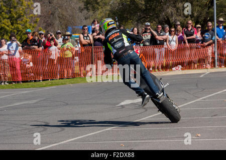 VICTORIA/AUSTRALIA - Settembre 2015: Stunt motociclista effettuando in corrispondenza di un'auto show il 13 settembre 2015 in Corowa. Foto Stock