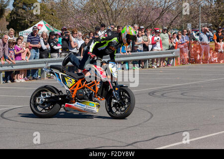 VICTORIA/AUSTRALIA - Settembre 2015: Stunt motociclista effettuando in corrispondenza di un'auto show il 13 settembre 2015 in Corowa. Foto Stock