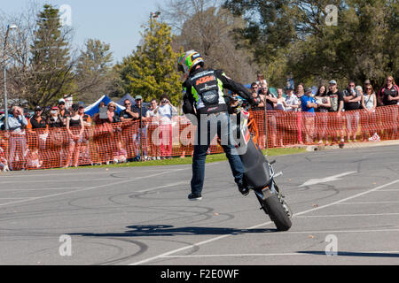 VICTORIA/AUSTRALIA - Settembre 2015: Stunt motociclista effettuando in corrispondenza di un'auto show il 13 settembre 2015 in Corowa. Foto Stock