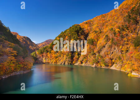 Brillanti colori dell'autunno lungo il lago di Azusa nel nord Alpi Giapponesi. Foto Stock