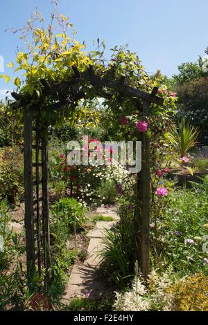 Le rose che cresce su un arco in un giardino cottage in Cornovaglia su una giornata d'estate Foto Stock