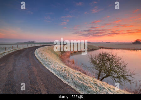 Tipico paesaggio olandese su un gelido mattino all'alba. Questa è una parte della circolare West-Frisian Dyke, una diga sistema che ha b Foto Stock