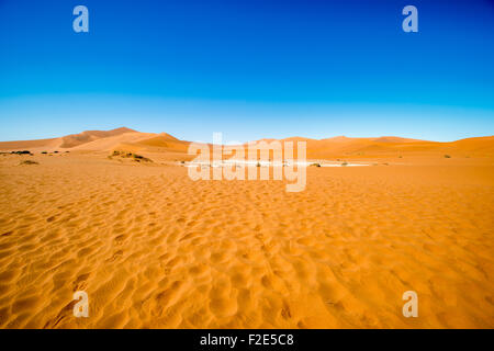 Deadvlei pan e dune, stimato 900 anno vecchio cammello morto Thorn trees in Namib-Naukluft National Park, Namibia Africa Foto Stock