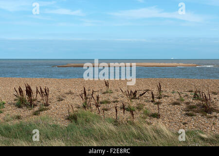 Strada di ciottoli Suffolk dove il fiume Alde entra nel Mare del Nord Foto Stock