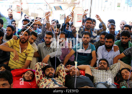 Srinagar Kashmir. Il 17 settembre 2015. Centinaia Empoloyees della National Youth Corps (NYC) durante lo sciopero della fame protesta entrato xvii giornata nella capitale estiva Srinagar indiano Kashmir controllata, decine di dipendenti di NYC sono esigenti attuazione di Jammu e Kashmir ordine cabinet nei confronti dei loro induzione in vari dipartimenti governativi nella valle del Kashmir. Credito: Kamran Raashid Bhat Bhat/Alamy Live News Foto Stock