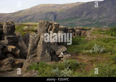 Thingvellir National Park, Rift valley in Islanda Foto Stock