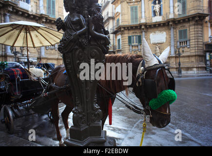 Buggy a Quattro Canti, uno dei quattro ottagonale i lati della piazza barocca di Palermo - Italia Foto Stock