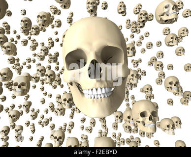 Withe scull isolato su sfondo scuro con percorso di clipping. Foto Stock