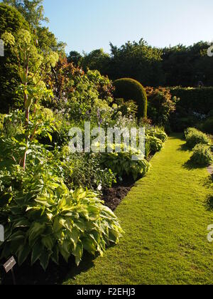 Visualizzazione verticale del giardino sommerso in bright sole pomeridiano a Chenies Manor; verde erba fresca e nuova hosta e giovani piante frondose Foto Stock