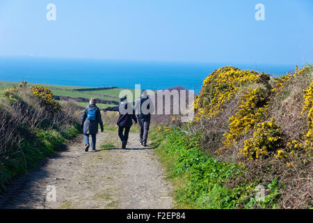 Un gruppo di escursionisti su un gorse-rigato bridleway sulla penisola di Lizard, Cornwall, Regno Unito Foto Stock