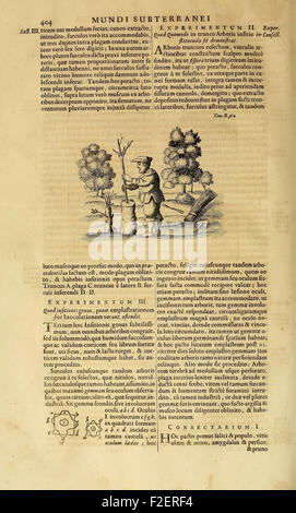 "Mundus Subterraneus" è un'opera del XVII secolo che esplora fenomeni sotterranei, tra cui l'estrazione mineraria, la geologia e lo studio della struttura interna della Terra. Offre le prime conoscenze scientifiche sulla natura dell'interno del pianeta. Foto Stock