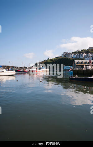 Mevagissey Harbour South Cornwall Inghilterra REGNO UNITO Foto Stock