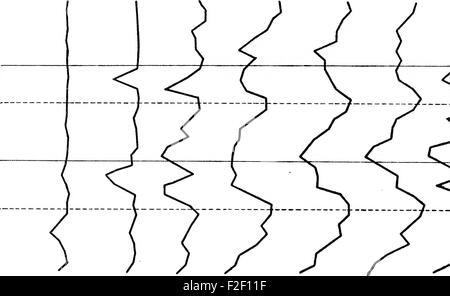 "The Relation between Solar prominences and Terrestrial Magnetism" (1902) esplora la connessione scientifica tra attività solari, come le prominenze solari, e il loro impatto sul magnetismo terrestre. Lo studio fa parte della prima ricerca di fisica solare, contribuendo alla comprensione delle interazioni solare-terrestre. Foto Stock