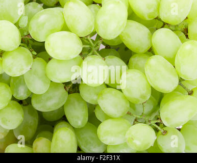 Close up di uva verde. Foto Stock