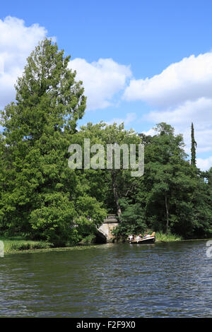 Parco e un lago in wörlitz worlitz woerlitz a Dessau-Wörlitz Garden Realm, sachsen-Anhalt, Germania, Europa Foto Stock