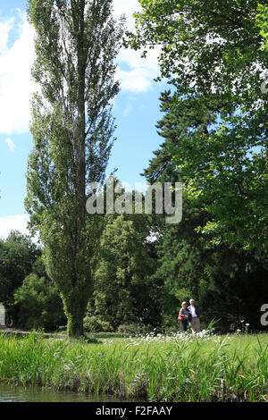 Park di wörlitz worlitz woerlitz a Dessau-Wörlitz Garden Realm, sachsen-Anhalt, Germania, Europa Foto Stock