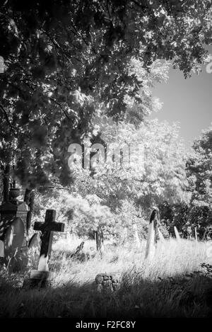 Una vista del cimitero di Kingston Foto Stock