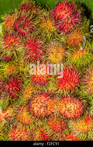 Rambutan, esotico e delizioso frutto dalla Thailandia, Asia Foto Stock