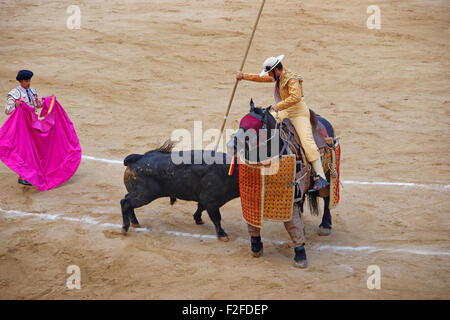 Barcellona, Spagna - Agosto 01, 2010: Bull sta attaccando il matador (torero) durante una Corrida nella Plaza Monumental de Barcelo Foto Stock