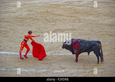 Barcellona, Spagna - Agosto 01, 2010: Torero, il principale attore nello sport della corrida, preparando per uccidere la sua preda wit Foto Stock