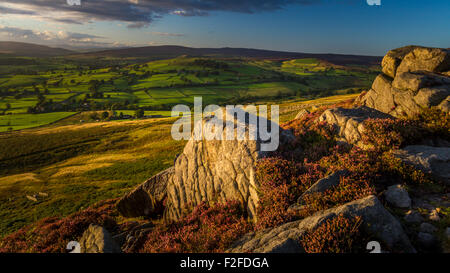 L'ora d'oro del sole serale dalle rocce gritstone su Beamsley Beacon, North Yorkshire Foto Stock