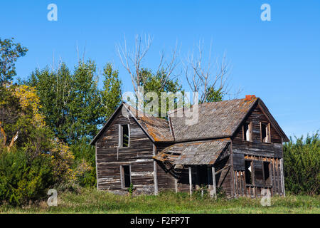 Fattoria abbandonata in un campo nei pressi di leduc Alberta, Canada Foto Stock