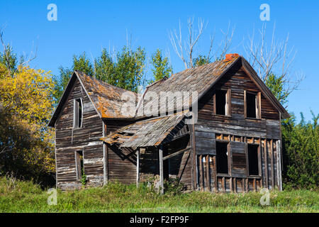 Fattoria abbandonata in un campo nei pressi di leduc Alberta, Canada Foto Stock