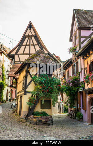 Vicolo con colorate tipiche case a graticcio e fiori, Eguisheim, Alsazia, Francia Foto Stock