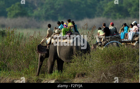 L'immagine di turista sul retro di elefante è stato girato nel parco di cittadino di Corbett - India Foto Stock