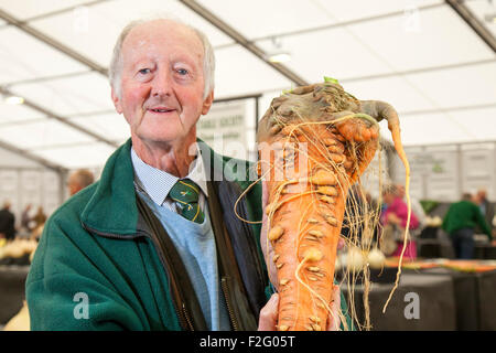 Harrogate, nello Yorkshire, Regno Unito. 18 Settembre, 2015. Peter Glazebrook mostra con orgoglio la sua accattivante carota gigante con un peso di 4,85 Kg a Harrogate autunno annuale Flower Show, Yorkshire Showground, classificato come uno dei Gran Bretagna superiore tre eventi di giardinaggio. Credito: Cernan Elias/Alamy Live News Foto Stock