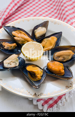 Le cozze al vapore sulla tovaglia a scacchi Foto Stock