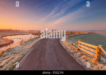 Tipico paesaggio olandese su un gelido mattino all'alba. Questa è una parte della circolare West-Frisian Dyke, una diga sistema che ha b Foto Stock