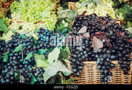 Mix di varie uve in cesti di vimini. Tema di raccolta. Foto Stock