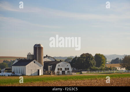 Edifici agricoli a Bird-in-canto, Lancaster County, Pennsylvania, STATI UNITI D'AMERICA Foto Stock