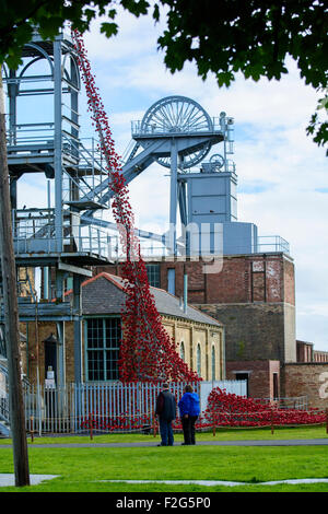 Finestra di pianto Papaveri sul Woodhorn Foto Stock