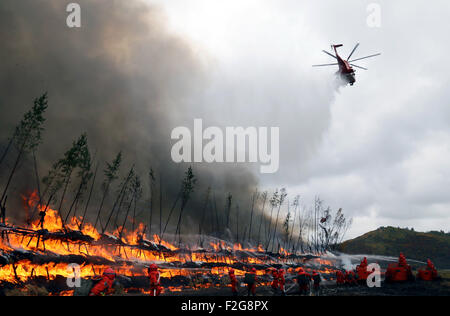 Daxing'anling, la Cina della Provincia di Heilongjiang. Xviii Sep, 2015. I vigili del fuoco e un elicottero di spegnere un incendio durante un drill al Cuifeng tree farm in Daxing"area anling, o grande Khingan montagne, a nord-est della Cina di Provincia di Heilongjiang, Sett. 18, 2015. Drone, elicottero e fuoristrada sono stati tutti usati in trapano. Credito: Wang Qisheng/Xinhua/Alamy Live News Foto Stock