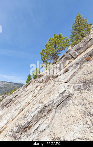 Arrampicata Half Dome in Yosemite National Park, Stati Uniti d'America. Foto Stock