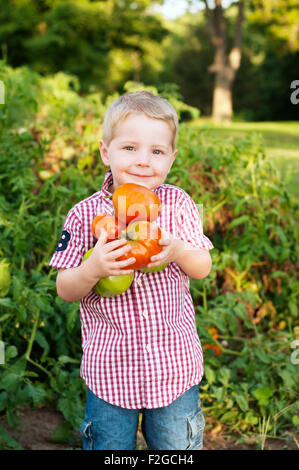 Ragazzo holding homegrown pomodori Foto Stock