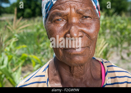 Villaggio Sexaxa donna sulla fattoria osservando i Suoi raccolti in Botswana, Africa Foto Stock