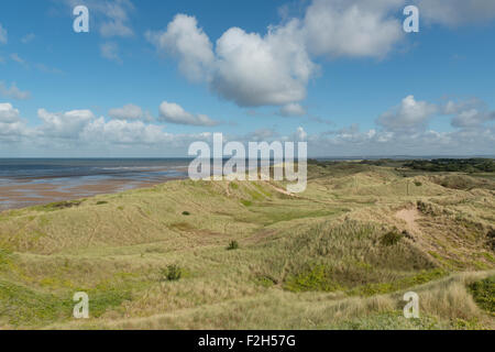 La conservazione della fauna selvatica in corrispondenza del sito Gronant dune di Flintshire, vicino a Prestatyn in Denbighshire. Foto Stock