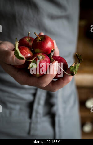 Close-up di mano d'uomo azienda mele Foto Stock