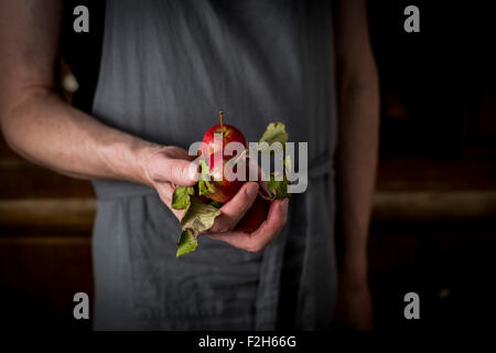 Uomo con kitch grembiule davanti al mobile da cucina e tenendo le mele in mano Foto Stock